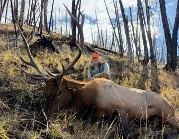 Sns Wyoming Wilderness Elk 2026 11.jpg